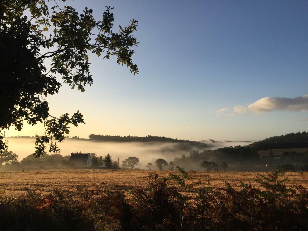 La Colline Des Renards Chambres Locmaria-Berrien Luaran gambar