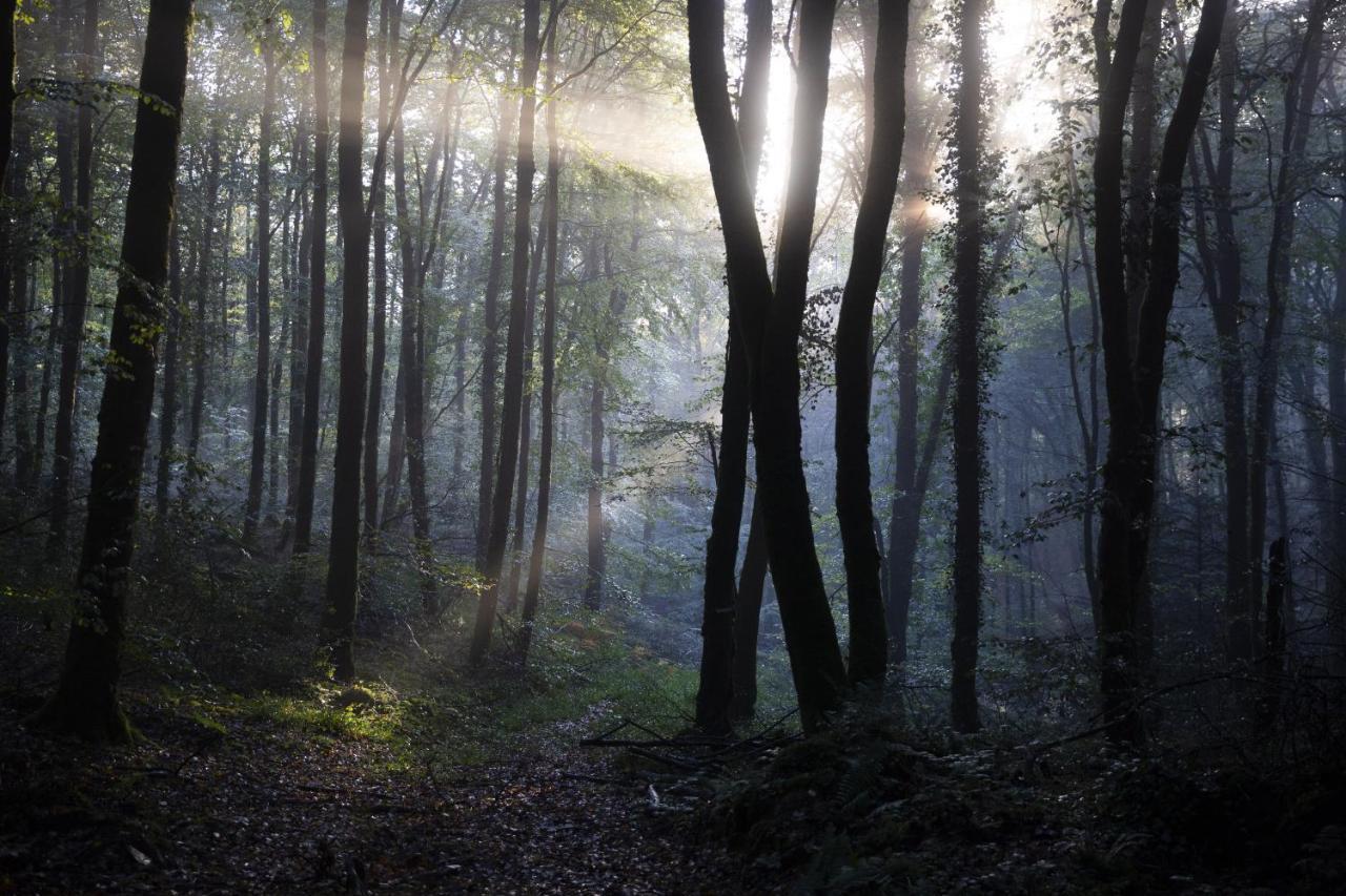 La Colline Des Renards Chambres Locmaria-Berrien Luaran gambar