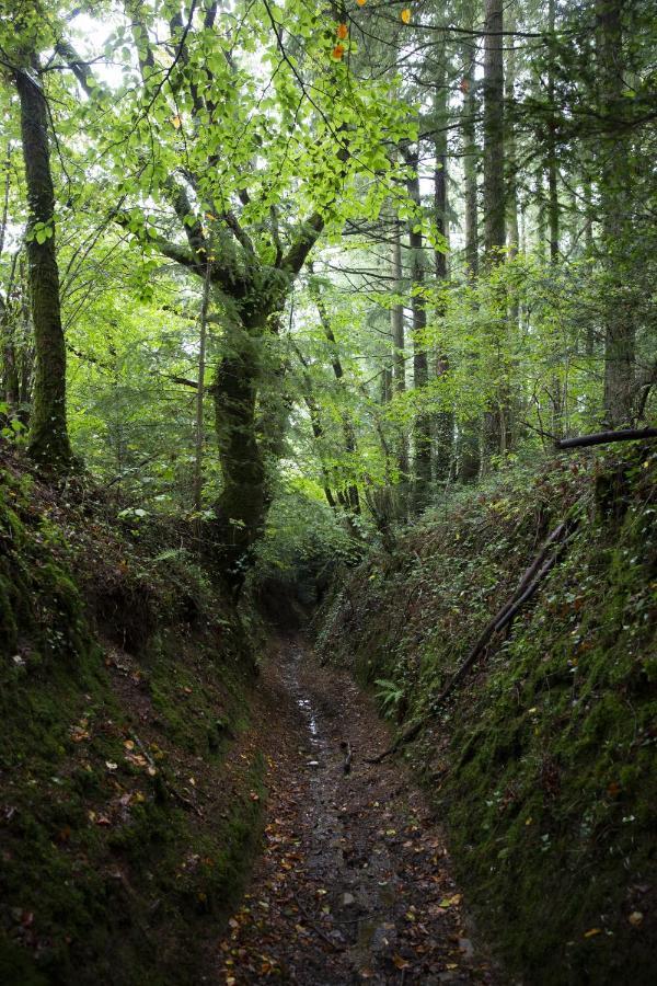 La Colline Des Renards Chambres Locmaria-Berrien Luaran gambar